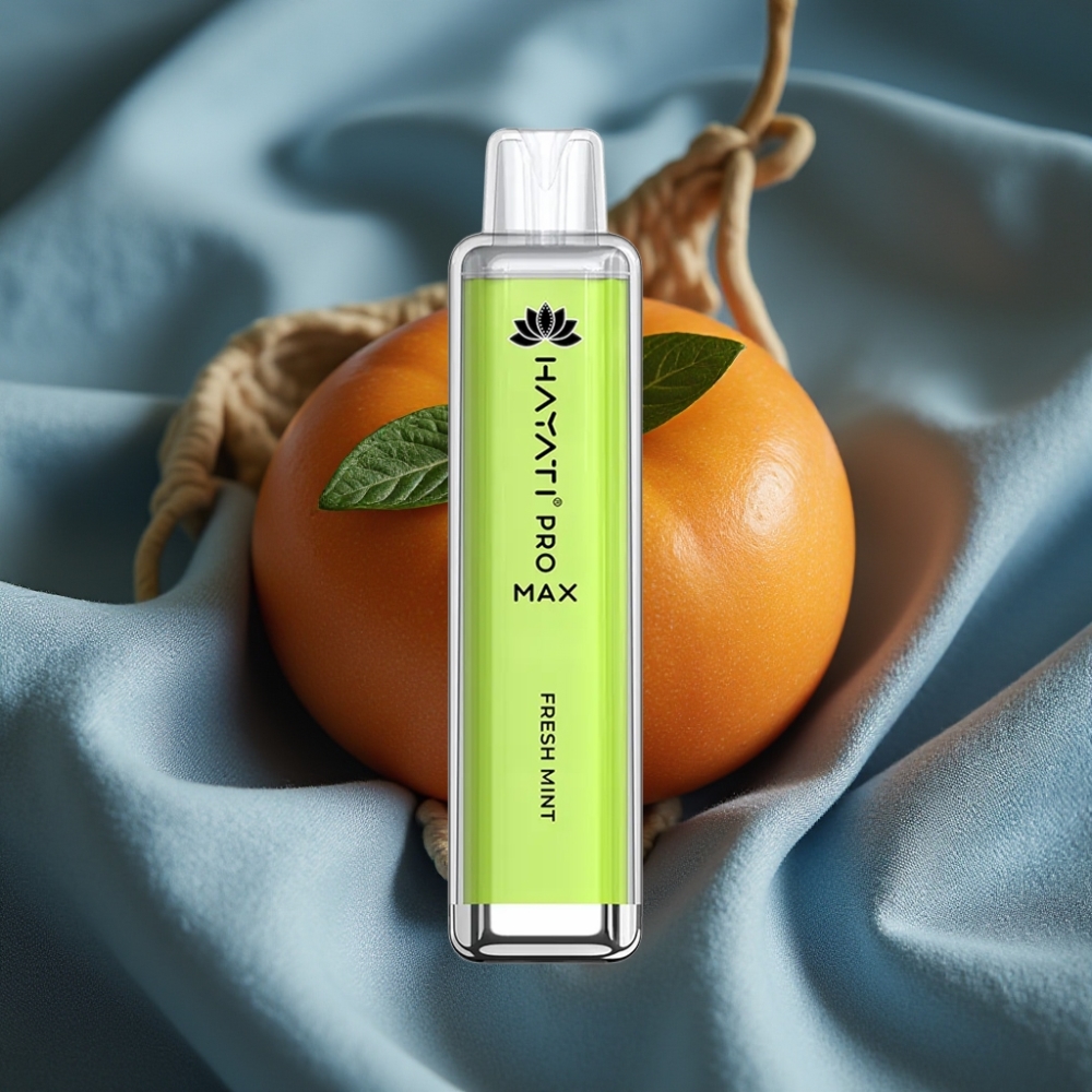 Hayati Pro Max 4000 Puff Çift 1.1 Ohm Mesh Coil Şarj Edilebilir Taze Nane